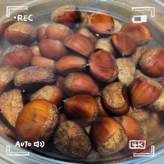 ひなた　Ｇカップの温もり、淫乱の園へ
