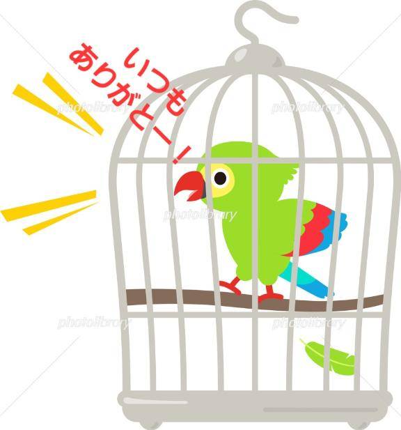 ゆみ　愛くるしい美人妻☆心に残る秘密の情事