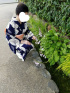 こはく 高嶺の花の乱れ姿☆溢れでるドMの香り