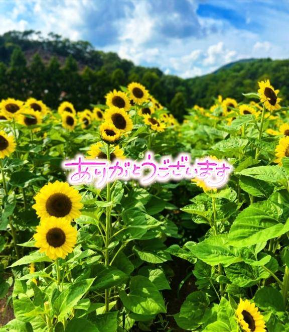 お礼写メ日記🌎川崎正則さん