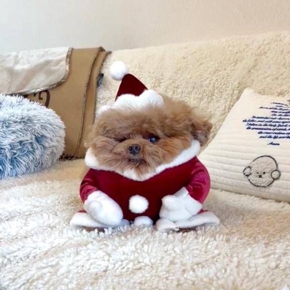 たいよう★UL対応