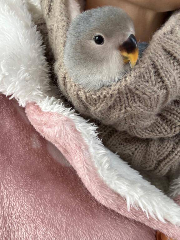 りこ☆天性ドエロ変態痴女