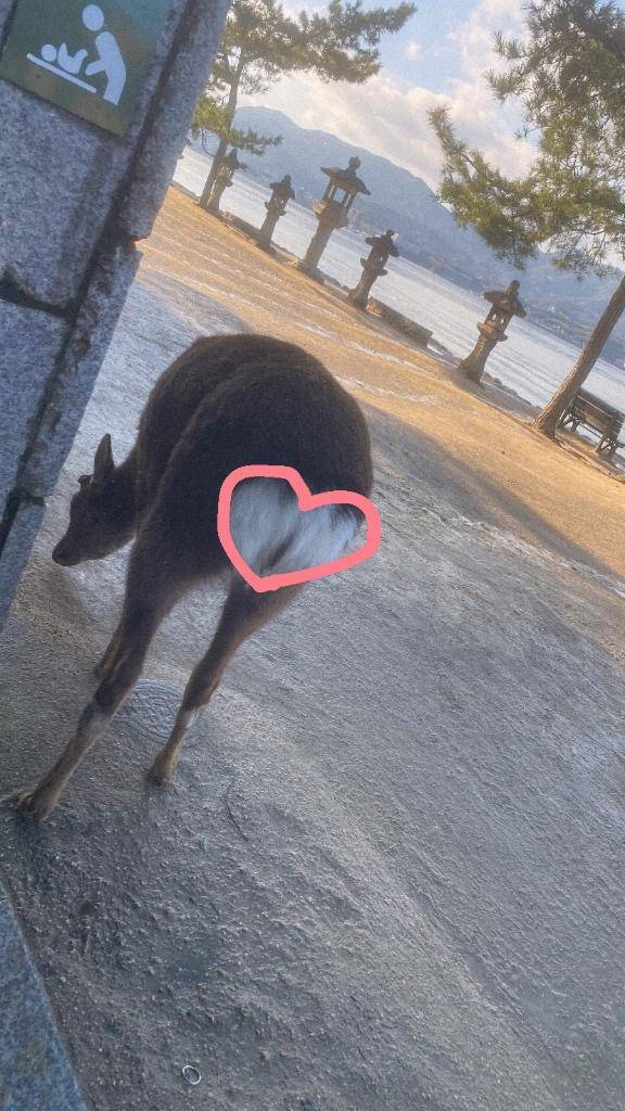 かぐら★UL対応