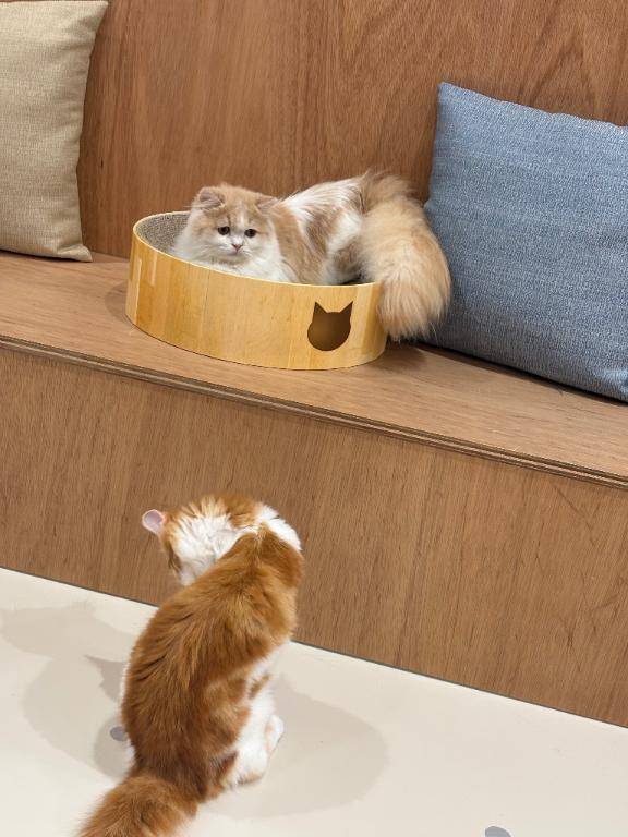 [お題]from:かわいすぎ💗さん