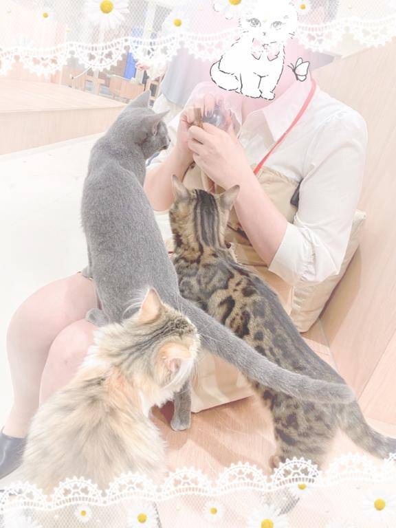 たいよう★UL対応