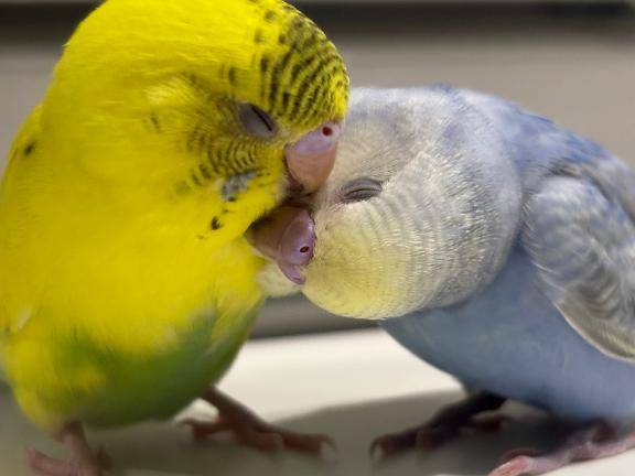 りこ☆天性ドエロ変態痴女