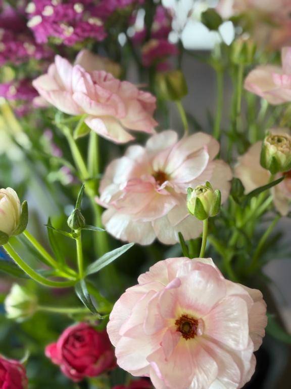 たいよう★UL対応