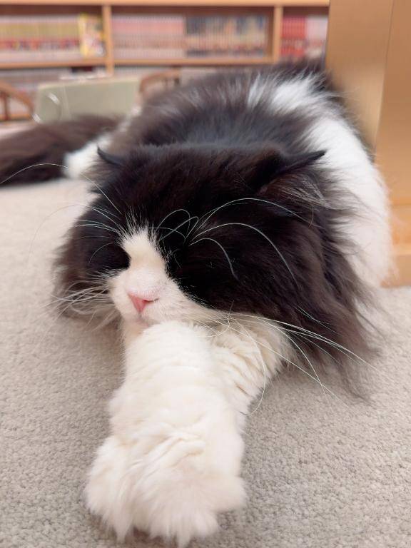 ラスト枠も🫣💕