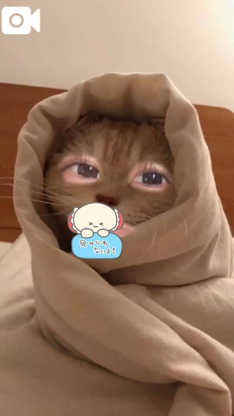ばいちゃむ