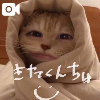 ゆい★UL対応
