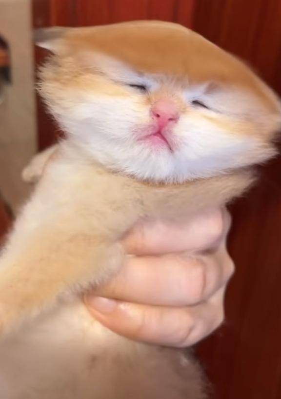 いろり★UL対応