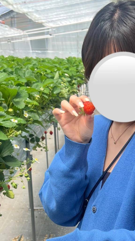 いちご🐰🍓