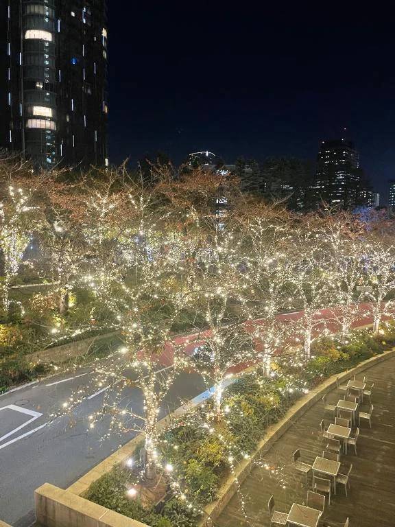 🤍出勤予定🤍