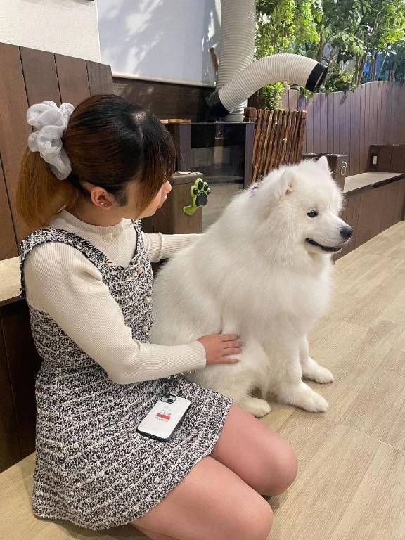 こんばんは^_^
