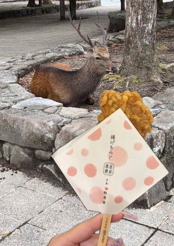 お休み日‎‎𖤐 ̖́-‬