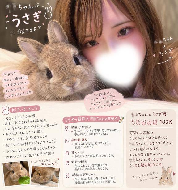 🐰