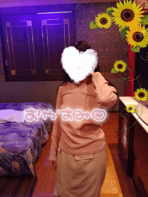 ただいま?