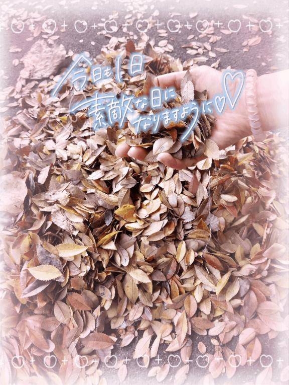 (???????????)????*?。?