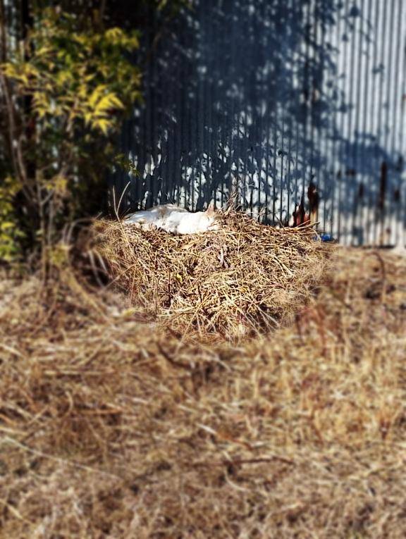 ポカポカまったり