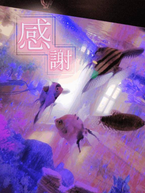 向かってます??