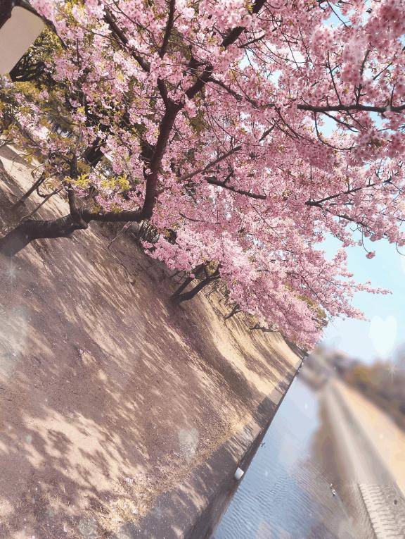 雨音聞きながら