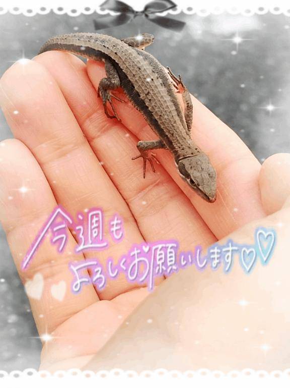 あき（大人SPA）