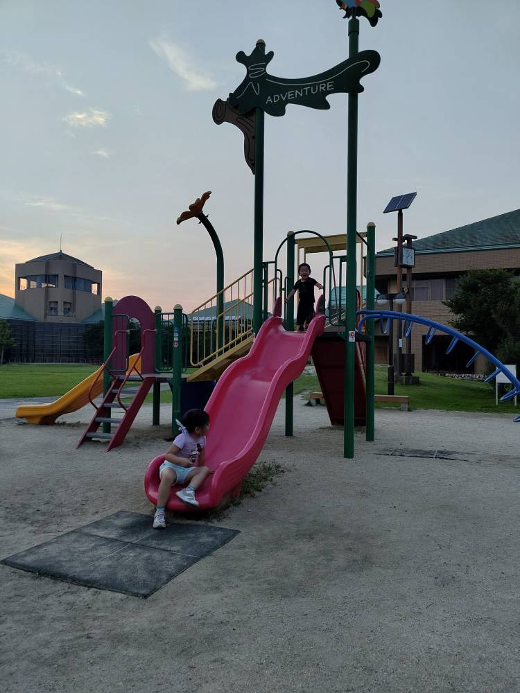 この TikTok の動画をチェックしてください