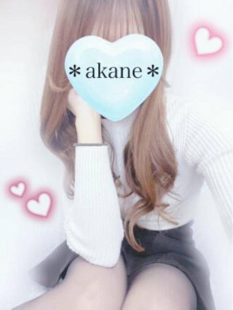 本日＊