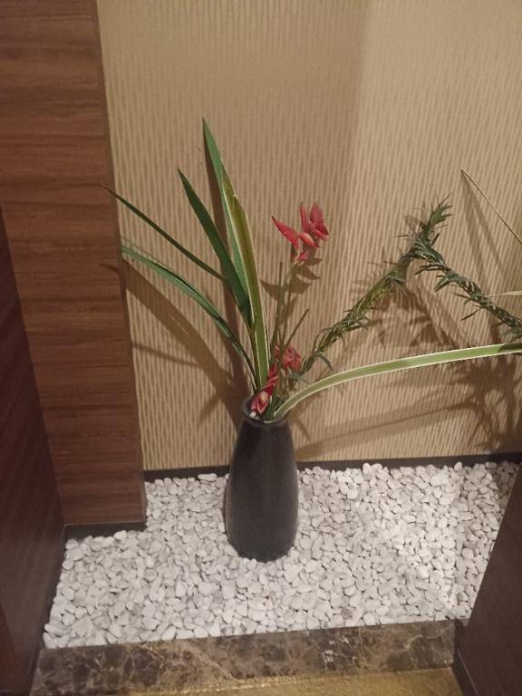 ありがとうございました♪