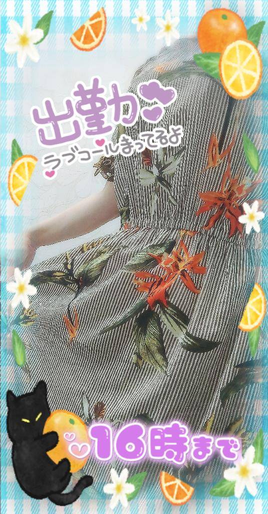 本日のおようふく：静止画ver.