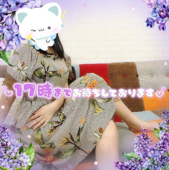 今日はこんな感じ