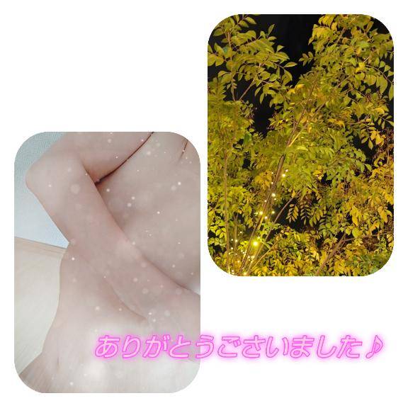 ありがとうごさいました♪