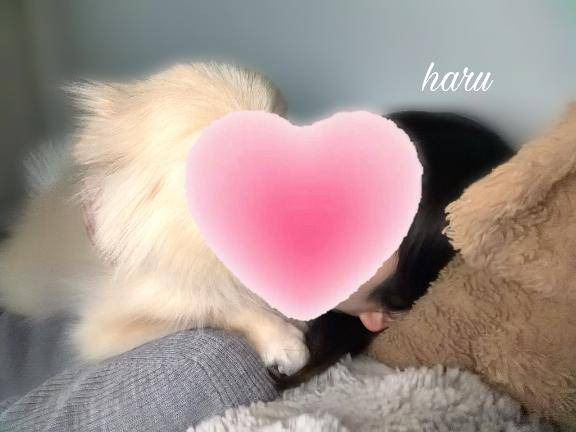 お休みさせて頂きます、すみませんm(_ _)m