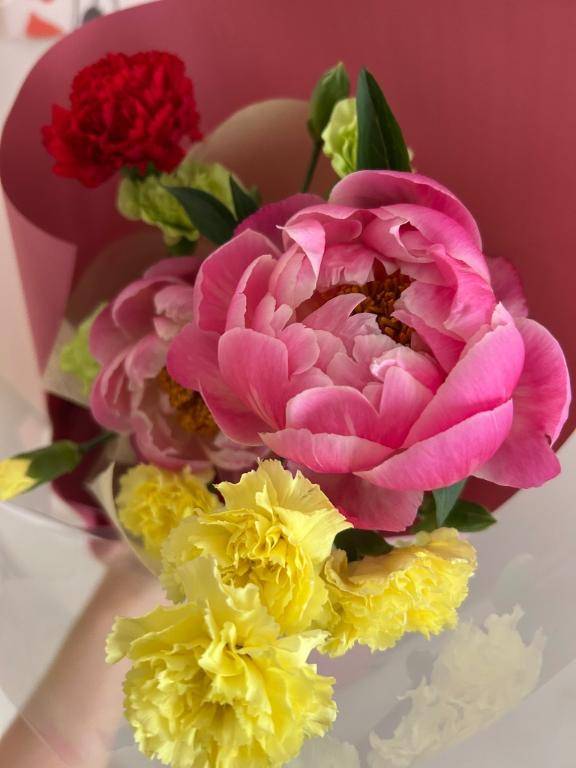 おはようございます(*^)(*^-^*)ゞ