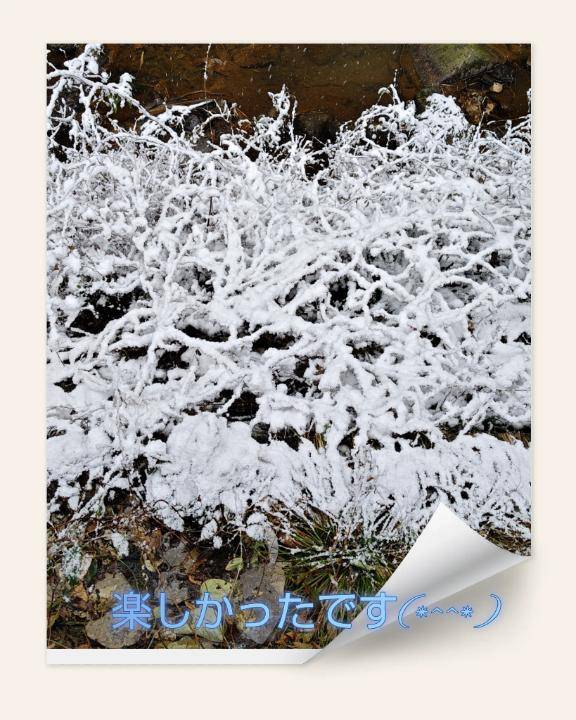 ありがとうございました♪