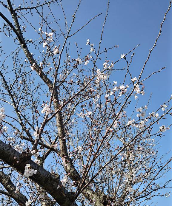 ありがとうございました♪