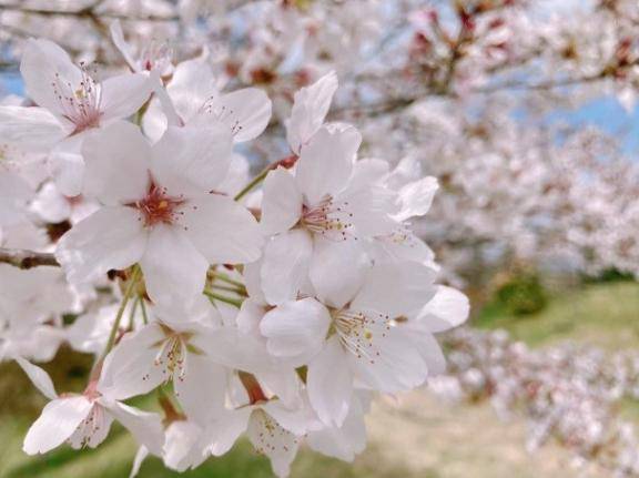 3日(金)　出勤します♪
