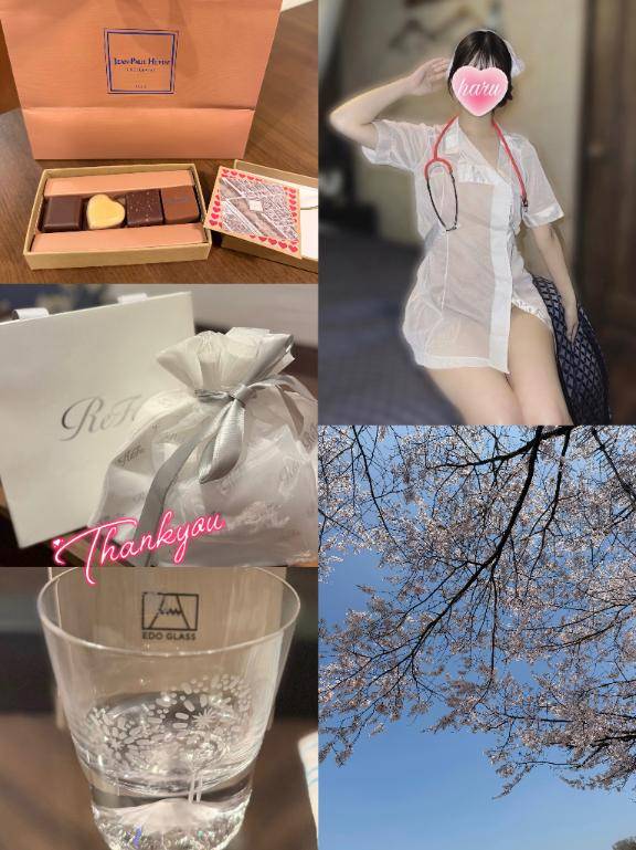 春を堪能中です☆
