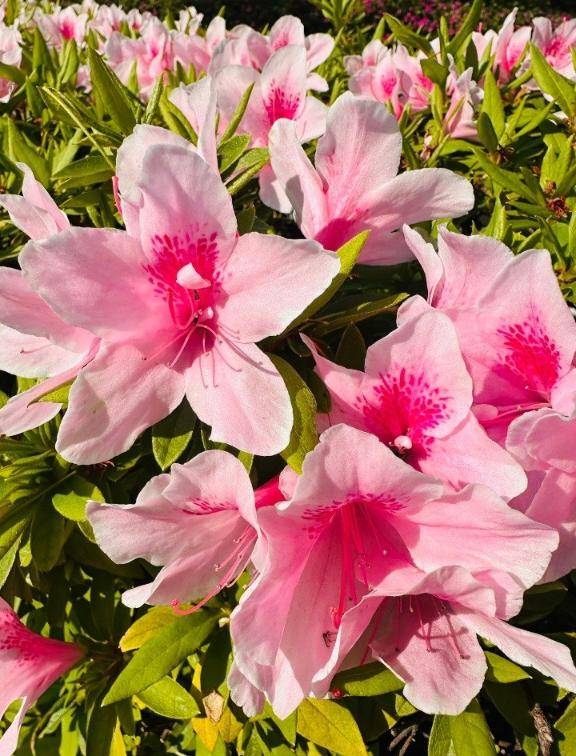 ありがとうございました☆