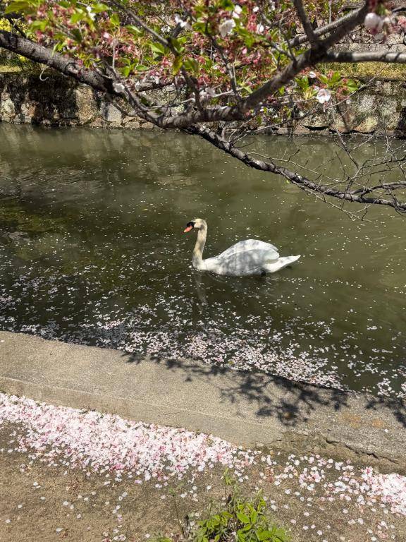出勤します♪