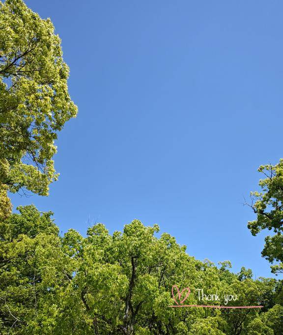 ありがとうございました♪
