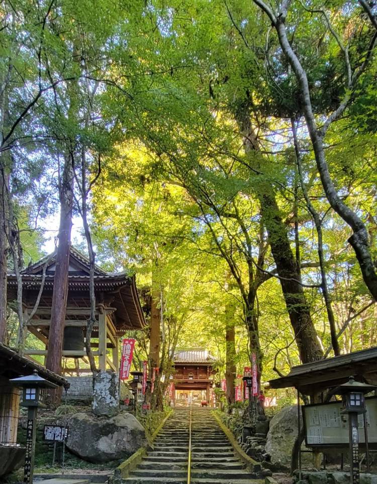 お寺巡り