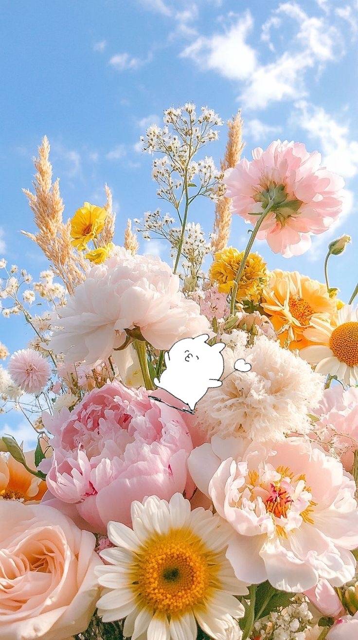 キャキャキャキャンセル〜