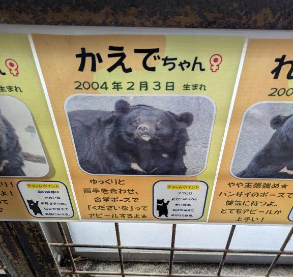 熊本旅行にて