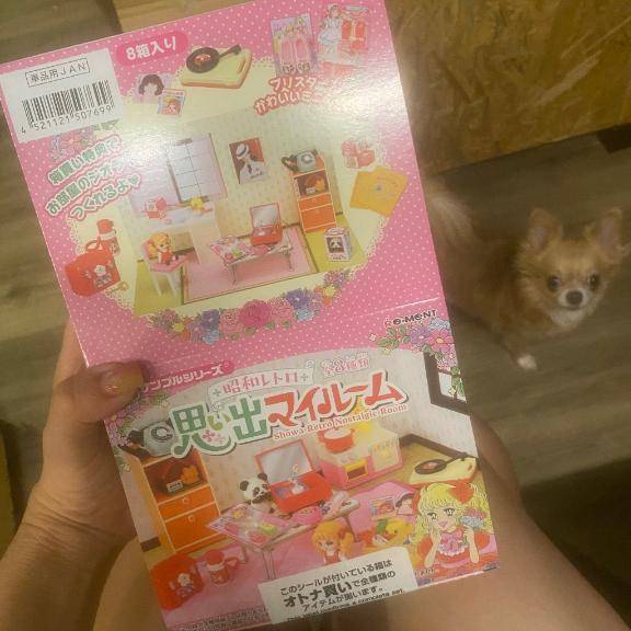 こんばんは(о´∀`о)
