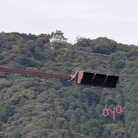 おはようございますー