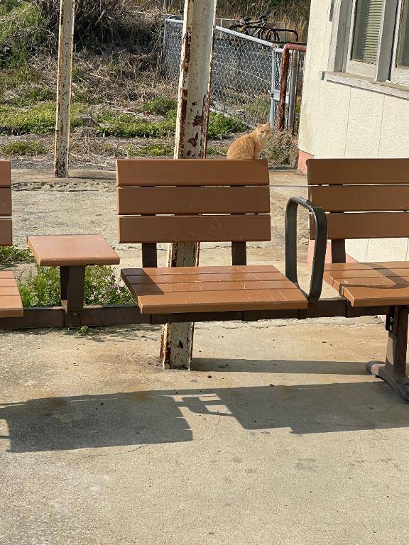 おはようございます(о´∀`о)