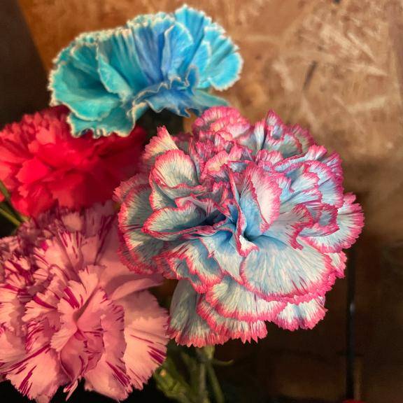 こんばんは(о´∀`о)