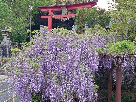 遅かった！！！