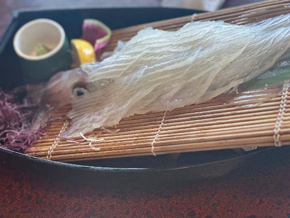 イカ食べいこう~